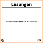 Anatomie Zeichenblätter Für Den Unterricht Lösungen Pdf