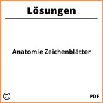 Anatomie Zeichenblätter Lösungen Pdf