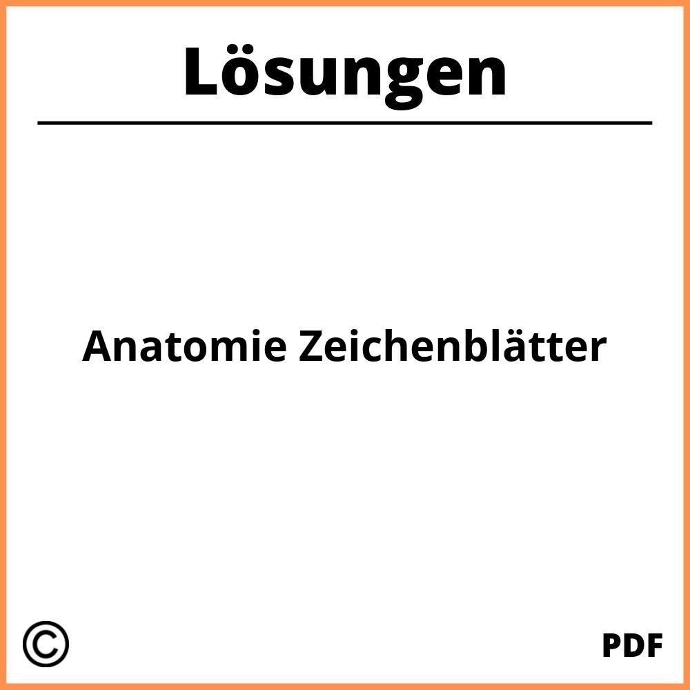 Anatomie Zeichenblätter Lösungen Pdf