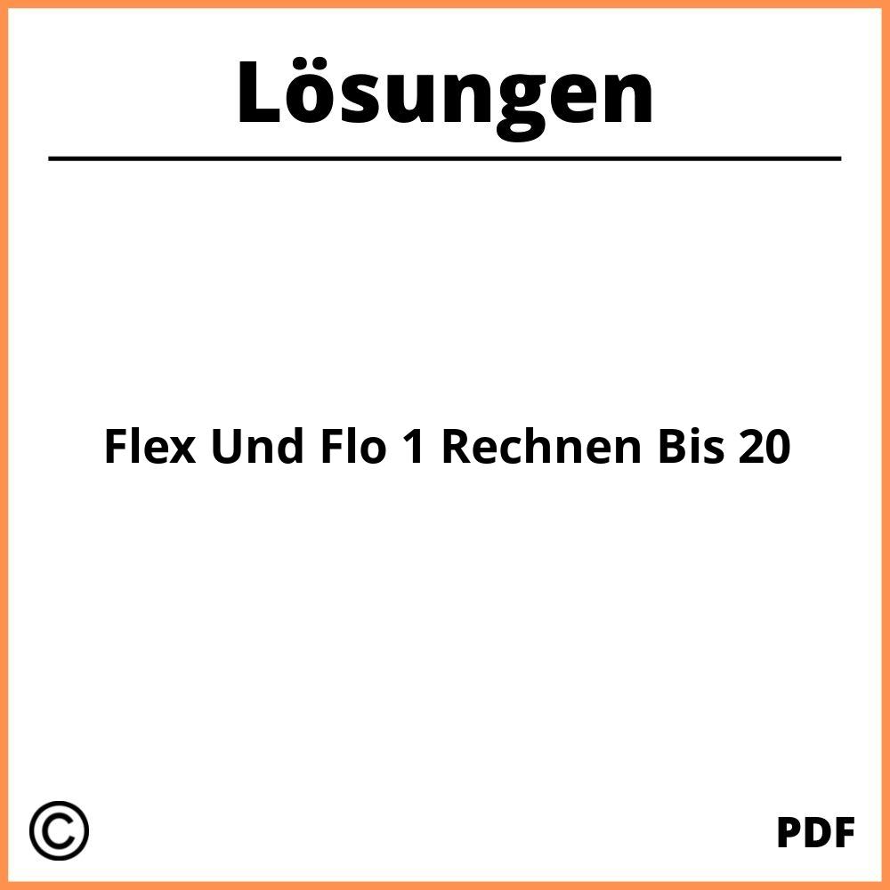 Flex Und Flo 1 Rechnen Bis 20 Lösungen Pdf