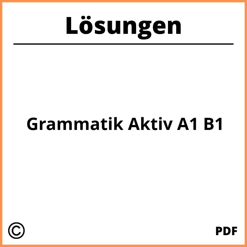 Grammatik Aktiv A1 B1 Lösungen Pdf 2023